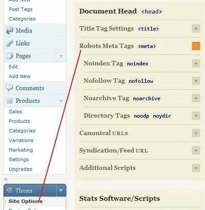 Thesis Site SEO Controls