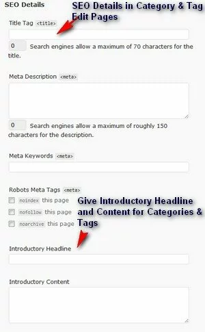 SEO Details for Categories and Tags